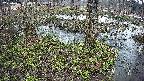 mizubasho3-20250405060042.jpg
