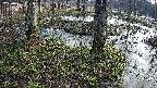 mizubasho3-20250405071040.jpg