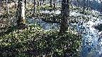 mizubasho3-20250405072042.jpg