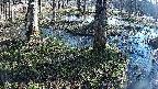 mizubasho3-20250405074039.jpg