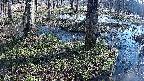 mizubasho3-20250405075039.jpg