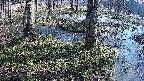 mizubasho3-20250405080039.jpg