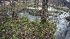 mizubasho3-20250405085040.jpg