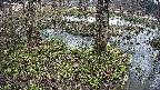 mizubasho3-20250405091040.jpg
