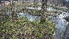 mizubasho3-20250405094042.jpg