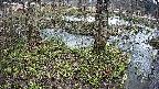 mizubasho3-20250405100041.jpg
