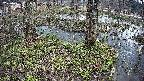 mizubasho3-20250405101045.jpg
