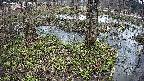 mizubasho3-20250405103045.jpg