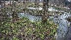 mizubasho3-20250405104039.jpg