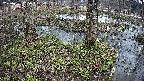 mizubasho3-20250405105042.jpg