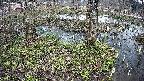 mizubasho3-20250405114042.jpg