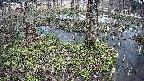 mizubasho3-20250405115041.jpg