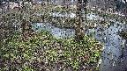 mizubasho3-20250405120044.jpg