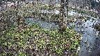 mizubasho3-20250405121045.jpg