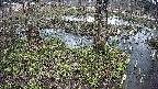 mizubasho3-20250405124041.jpg