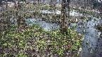 mizubasho3-20250405130043.jpg