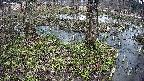 mizubasho3-20250405131042.jpg