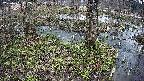mizubasho3-20250405132041.jpg