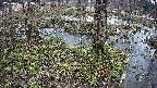 mizubasho3-20250405133042.jpg