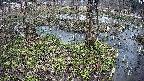 mizubasho3-20250405143041.jpg