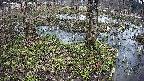 mizubasho3-20250405144042.jpg
