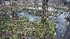 mizubasho3-20250405154043.jpg