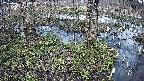 mizubasho3-20250405160043.jpg