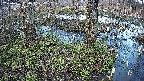 mizubasho3-20250405174043.jpg