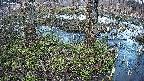 mizubasho3-20250405175043.jpg