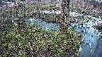 mizubasho3-20250405180043.jpg