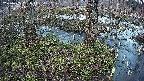 mizubasho3-20250405181044.jpg