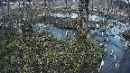 mizubasho3-20250405182042.jpg