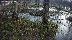mizubasho3-20250406050040.jpg