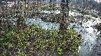 mizubasho3-20250406052043.jpg