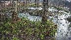 mizubasho3-20250406055044.jpg