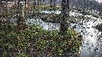mizubasho3-20250406060045.jpg