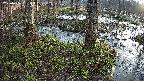 mizubasho3-20250406061043.jpg