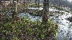 mizubasho3-20250406063041.jpg