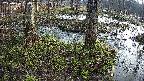 mizubasho3-20250406064042.jpg