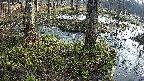 mizubasho3-20250406065044.jpg