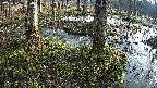 mizubasho3-20250406070045.jpg