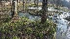 mizubasho3-20250406073041.jpg