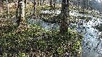 mizubasho3-20250406074042.jpg