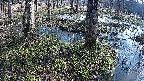 mizubasho3-20250406075042.jpg