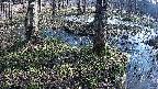 mizubasho3-20250406080040.jpg