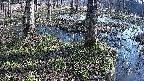 mizubasho3-20250406081042.jpg