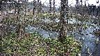 mizubasho3-20250406110041.jpg