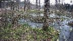 mizubasho3-20250406120041.jpg