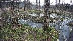 mizubasho3-20250406130042.jpg