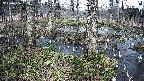 mizubasho3-20250406132041.jpg